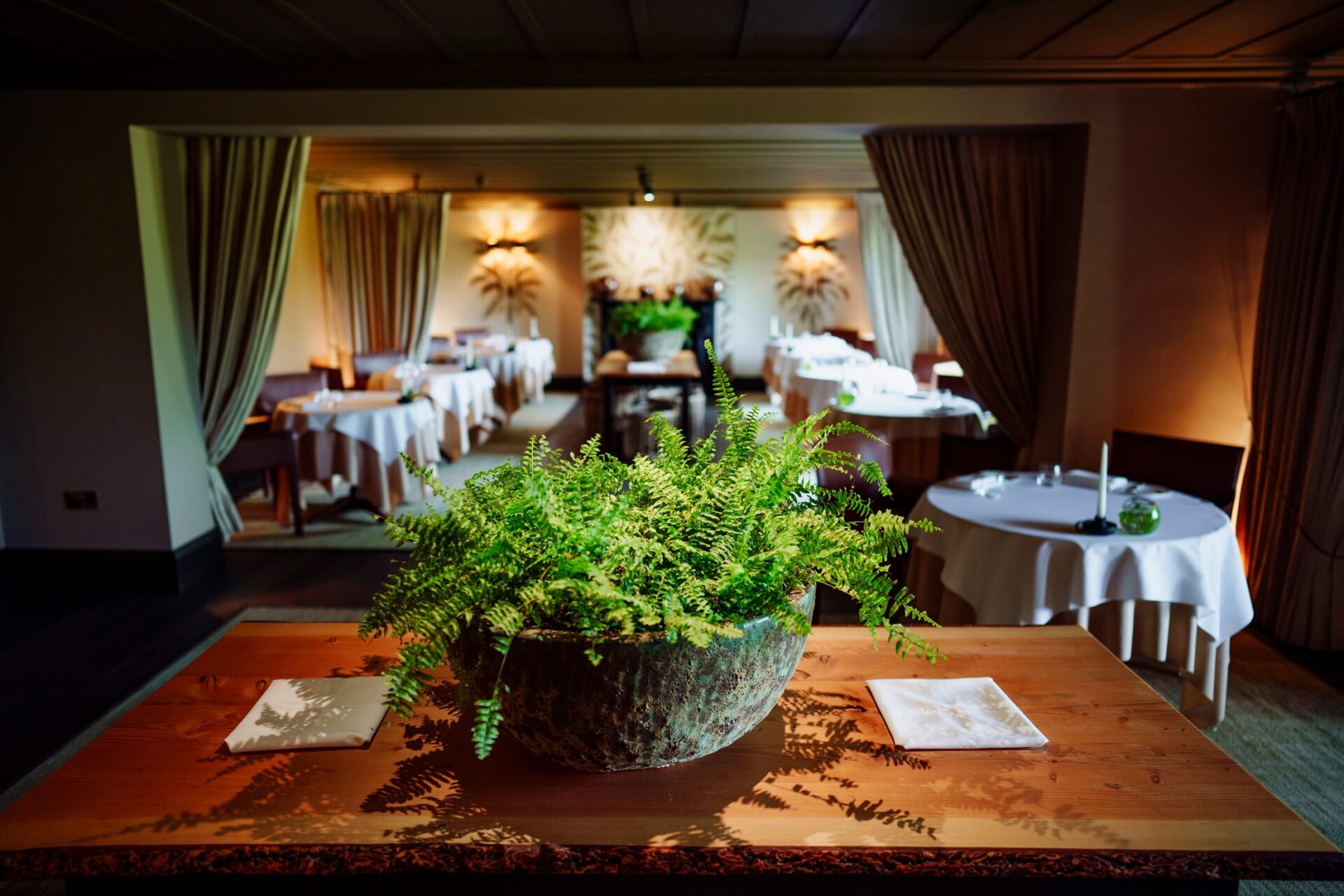 fernery_grove-1
