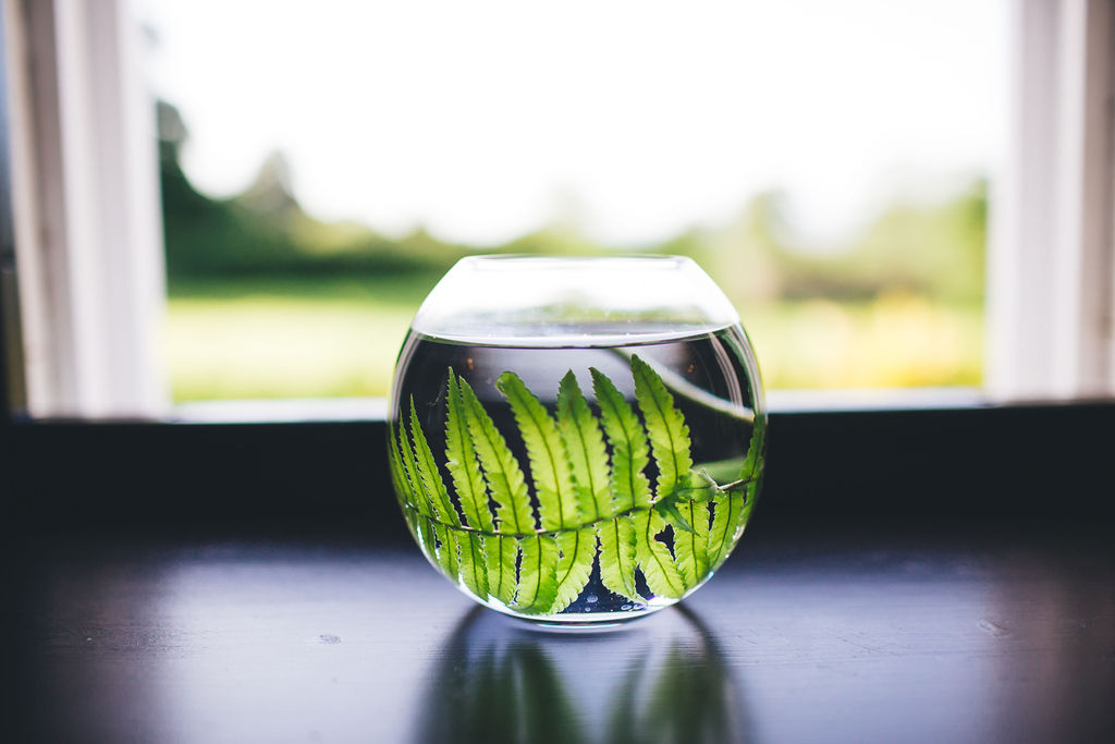 glass of water with mint